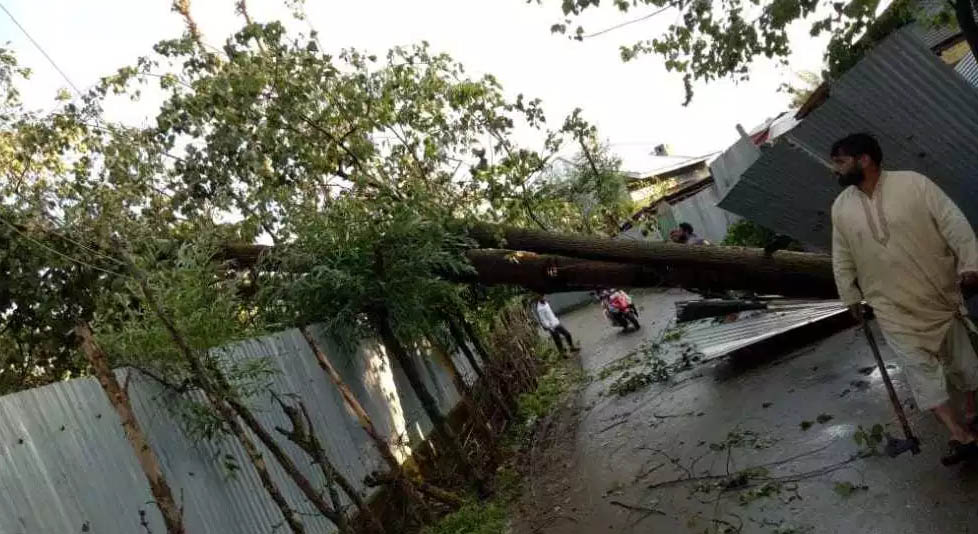 Windstorm, heavy rains damage trees, houses in Sopore areas
