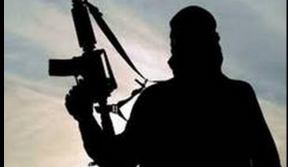 J&K: Top Hizbul Mujahideen commander killed in Handwara encounter