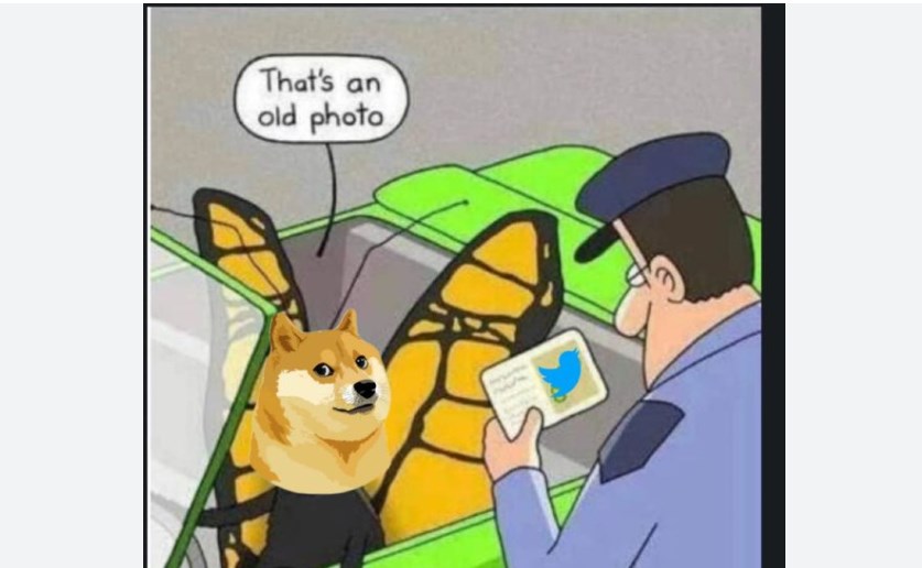 Twitter Logo Changed! Elon Musk Replaces Twitter's Blue Bird With 'Doge' Meme