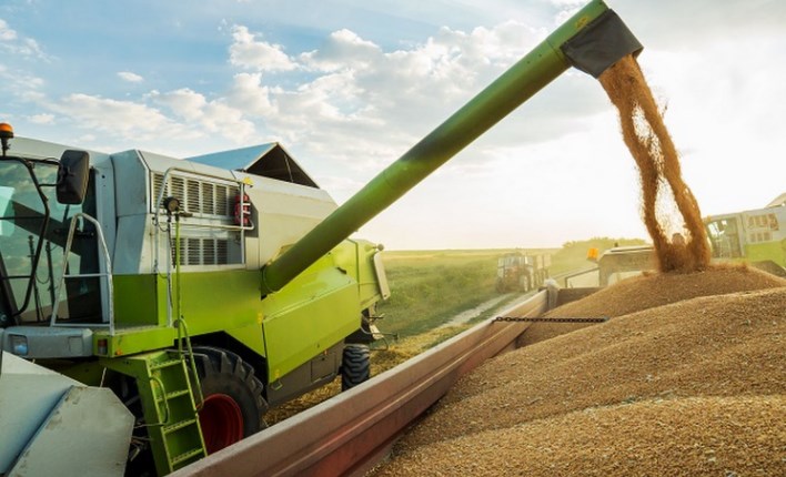 India bans wheat exports with immediate effect citing food security factor