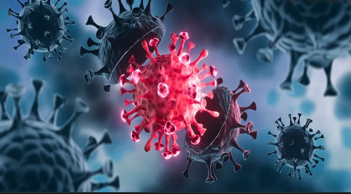 India reports 975 new COVID pandemic cases with 4 fatalities in single day