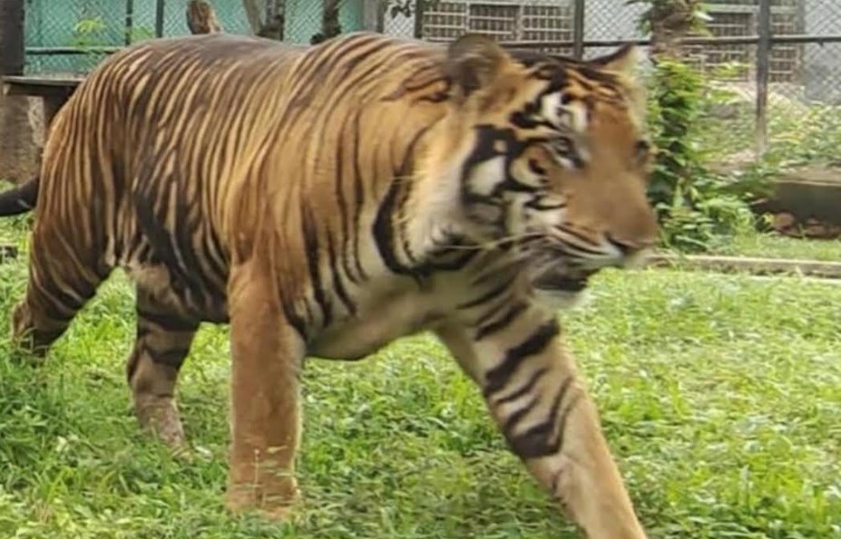 Delhi HC judge transfer: Law Minister RS Prasad says, 'well settled process was followed'