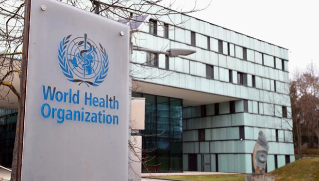 WHO report says animals likely source of COVID
