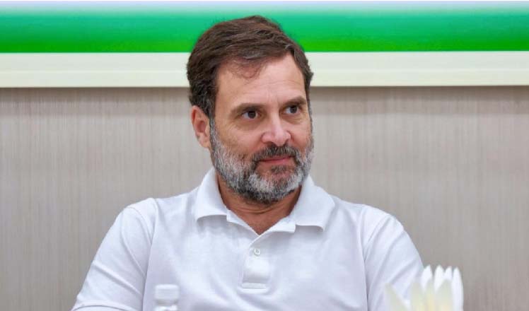 Rahul Gandhi to contest Lok Sabha elections from Amethi, says Congress leader