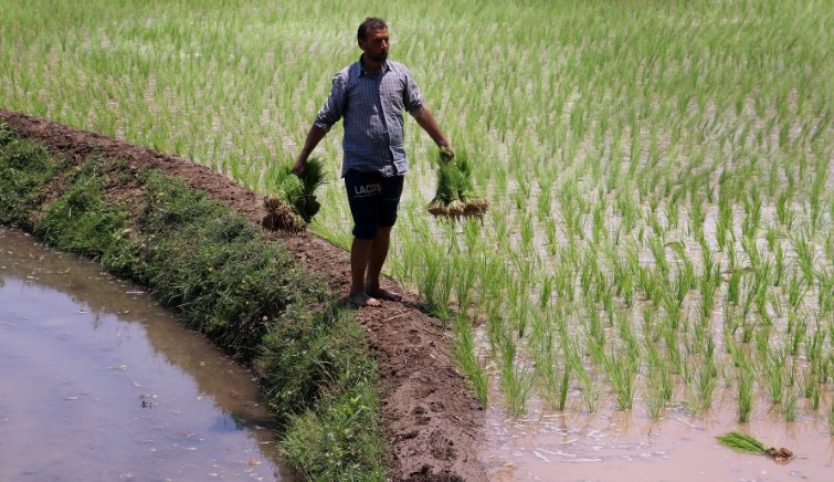 Rs 900 crore sanctioned for holistic development of agriculture sector in J&K