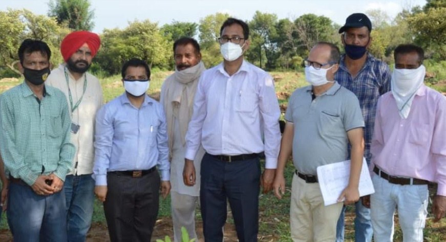 Director Horticulture visits Samba inspects Fruit Plant Nurseries