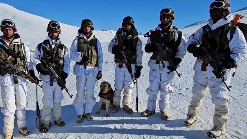 J&K: Indian Army Unit showcases avalanche rescue prowess on LoC in Gulmarg