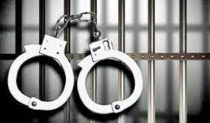 02 LeT militant associates arrested in Budgam: Police