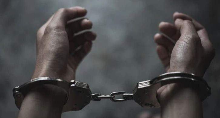TRF OGW arrested from north Kashmir: Police