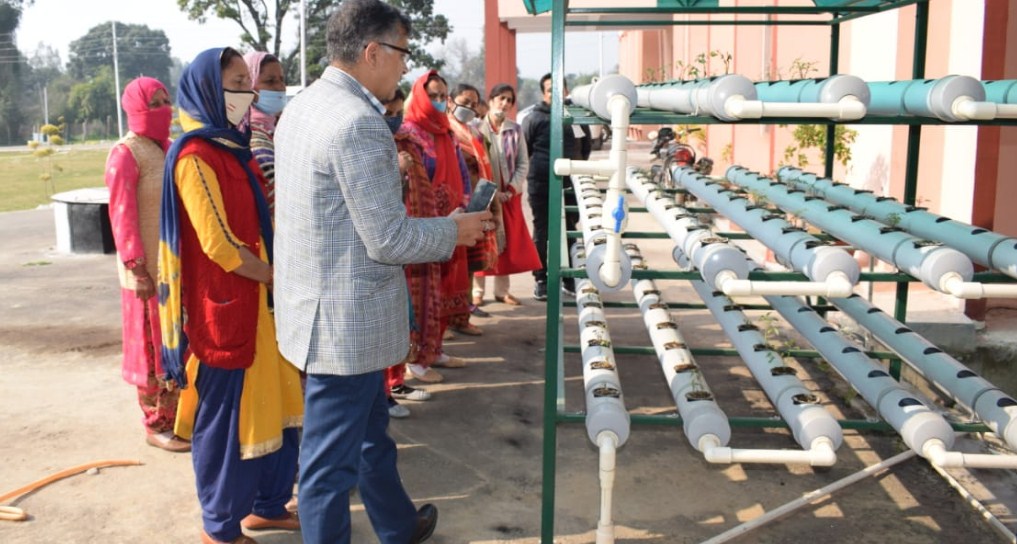 Centre for Molecular Biology, Central University of Jammu organises one day workshop