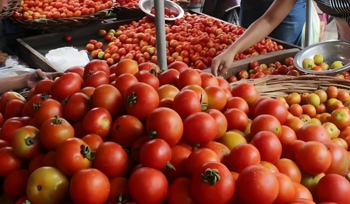 Govt cuts price of subsidised Tomato to Rs 70 per kg