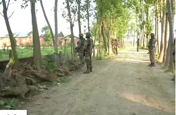 J&K: LeT terrorist nabbed in Bandipora, live grenades and ammunition recovered