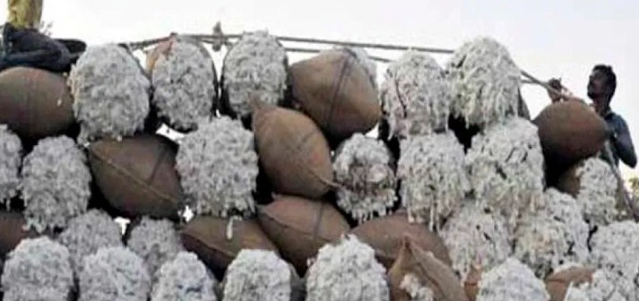 Pakistan to import sugar, cotton from India