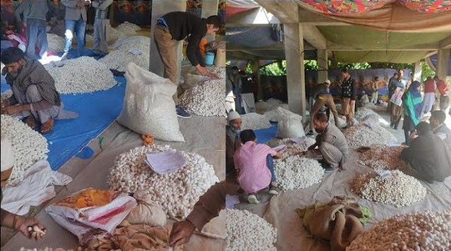 Cocoon Auction Market held at Kupwara, 21.5 metric ton cocoon sold