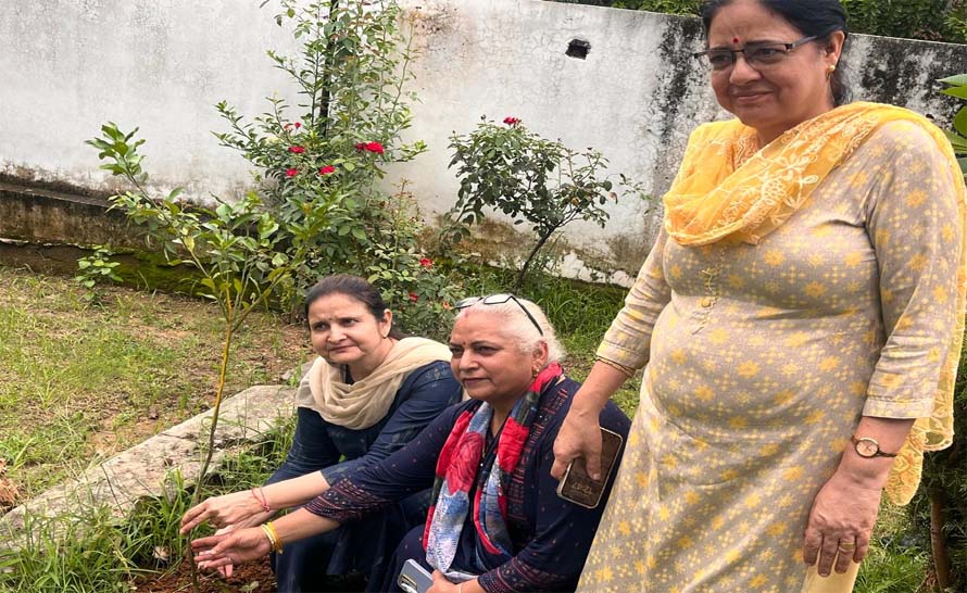 Jammu: Office Complex of State Drugs Controller organises plantation drive under Swachhata Pakhwada