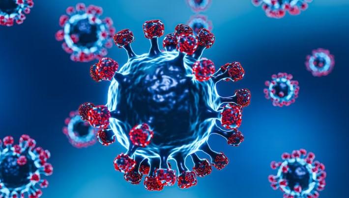 COVID-19 in Delhi-NCR: Three test positive for coronavirus in Gurugram and Faridabad
