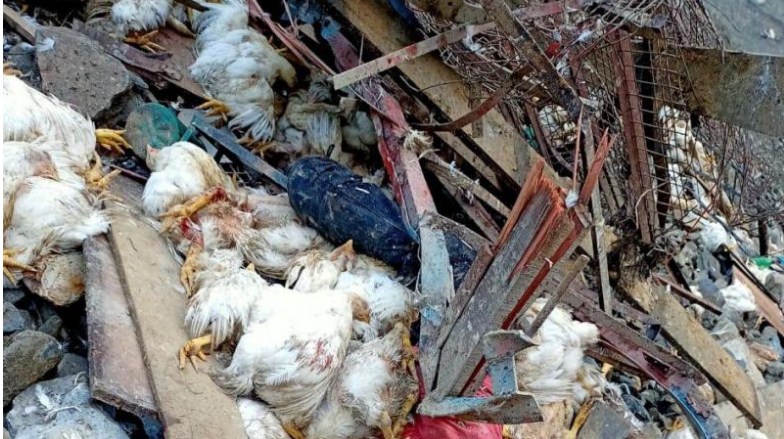 Vehicle carrying poultry plunges into gorge on Kashmir Highway, two dead