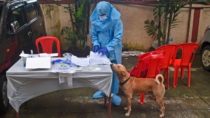 Over 55,000 new coronavirus cases in last 24 hours; death toll rises to 35,747