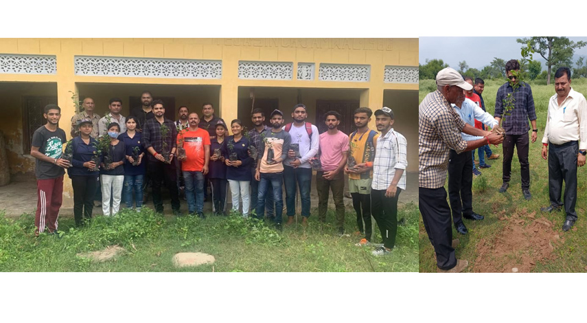 Plantation, cleanliness drive conducted at Tehsil Dansal 