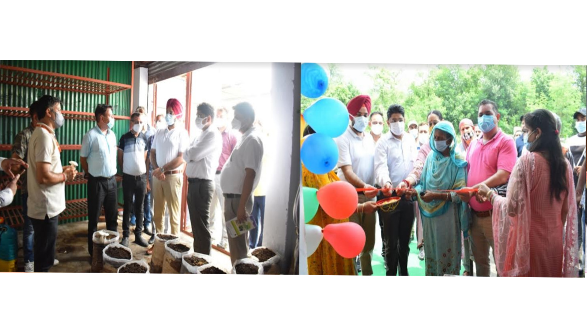  Div Com Jammu inspects Agriculture farm