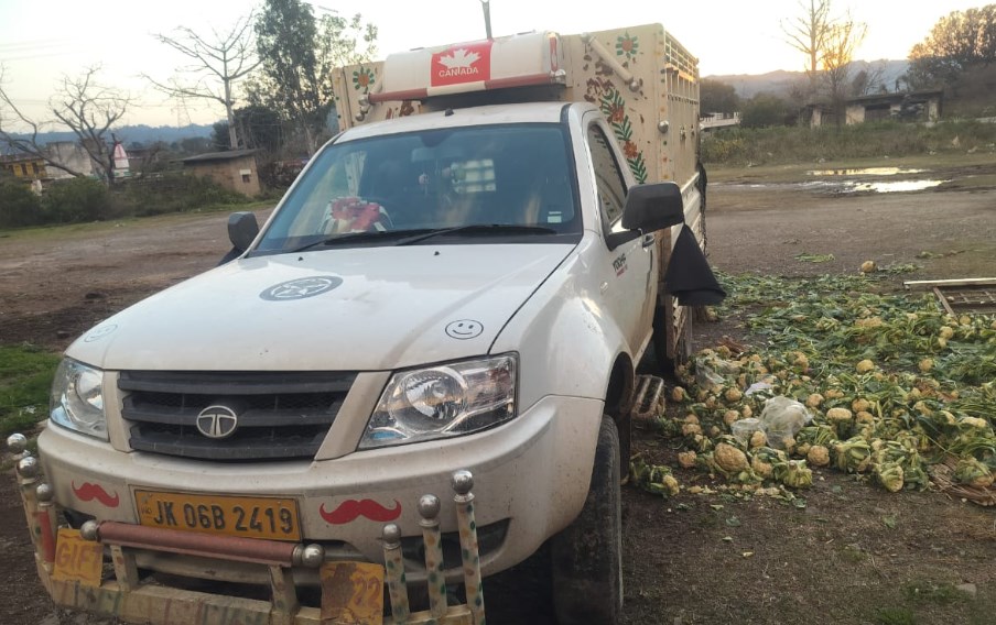 04 bovines rescued, vehicle seized in Police Post Manwal