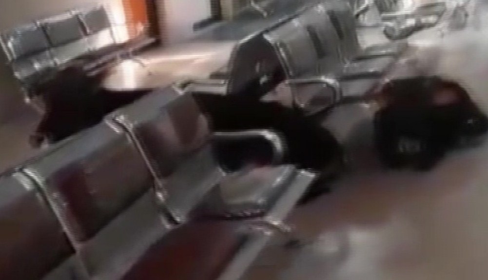 Case filed against ''miscreants'' after video shows cows inside J-K hospital