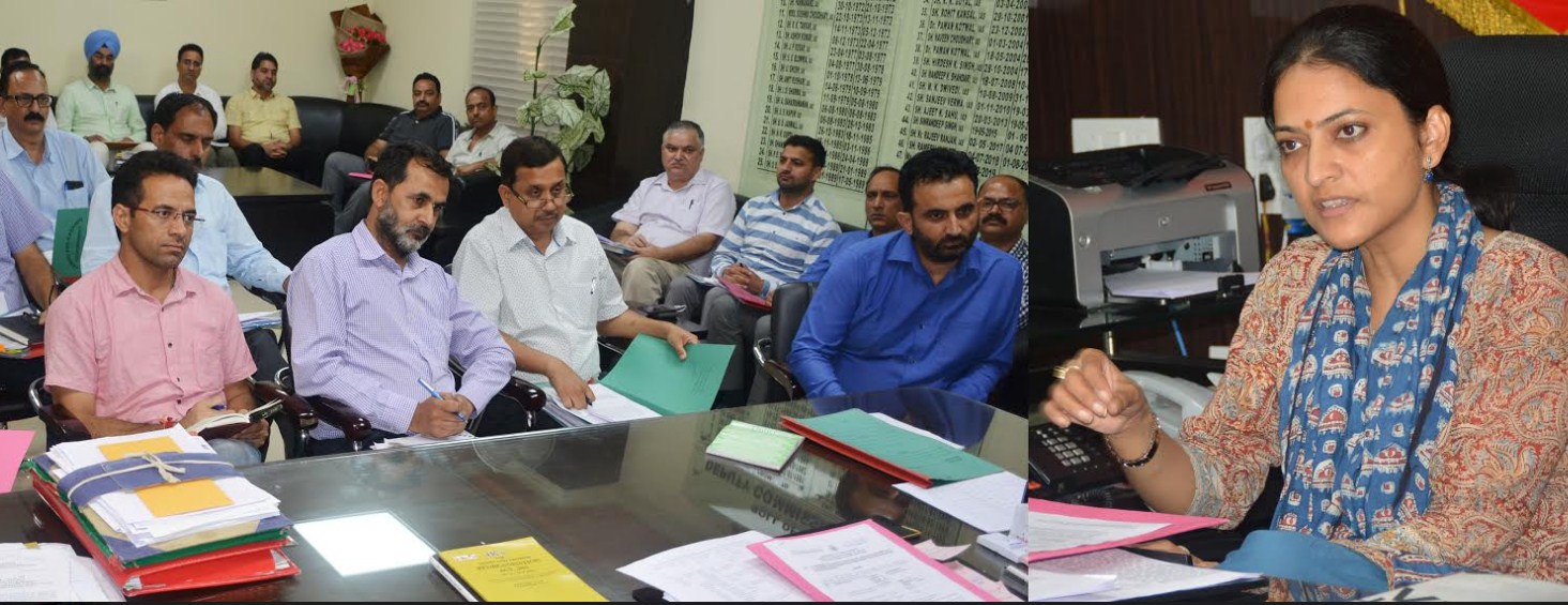 DC authorizes departments for taking up temporary restoration works under SDRF
