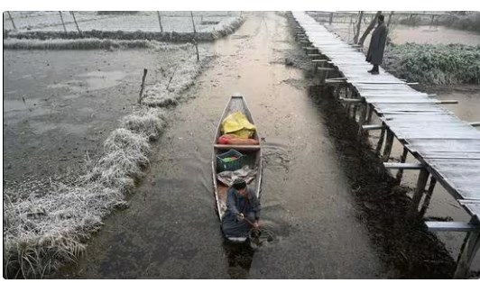 Srinagar records minus 3.5°C as chilly weather conditions persist in Kashmir