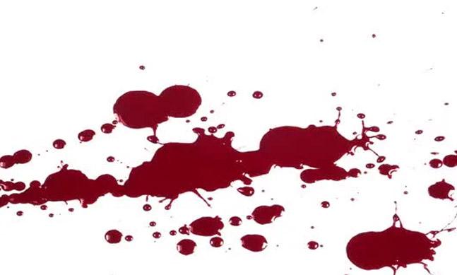 Domestic Help Allegedly Kills Senior Advocate and husband of Former CE PDD