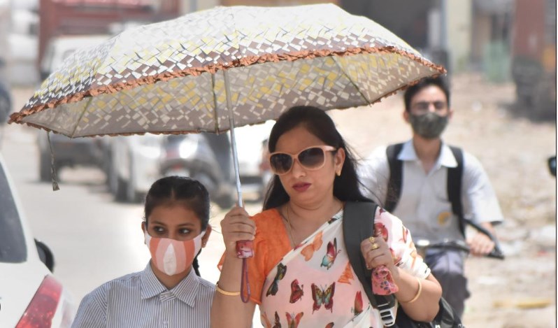 2022 is India's fifth warmest year since 1901, says IMD