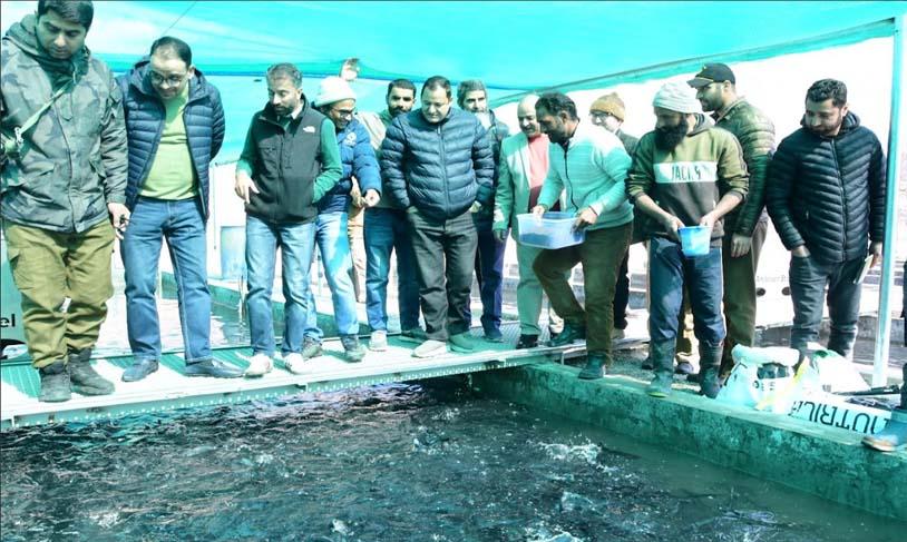 Fisheries sector possesses vast potential for employment, economy generation in JK: Javed Dar