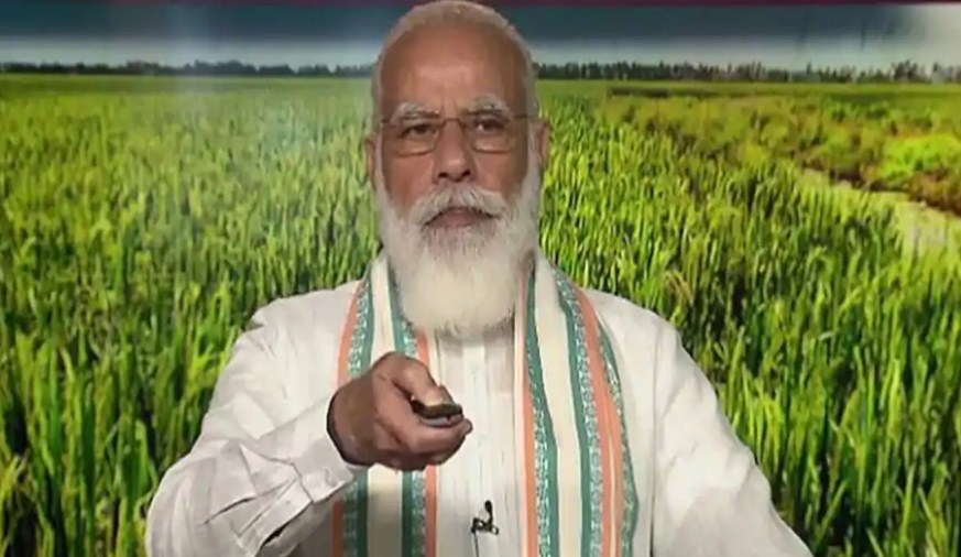 New farm laws to boost farmers' income: PM Narendra Modi on World Food Day