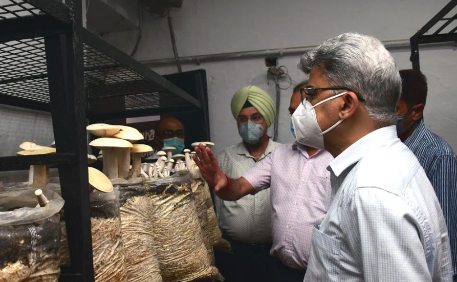 Atal Dulloo calls for routine grievance redressal; building trust, credibility with farmers