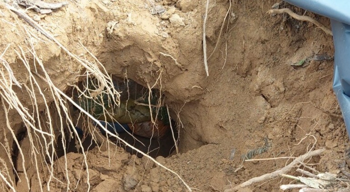 BSF detects tunnel along India-Pakistan border in J&K's Samba