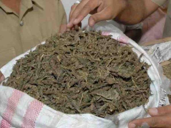 Drug peddlers arrested with Ganja at Jammu railway station