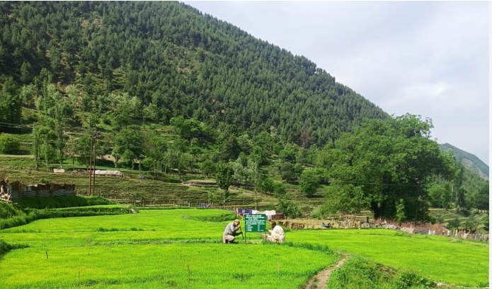 J&K among top five States, UTs of country in terms of farm income