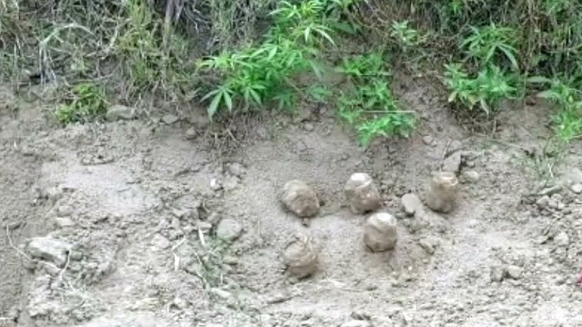 5 old mines recovered, defused in Jammu and Kashmir’s Samba