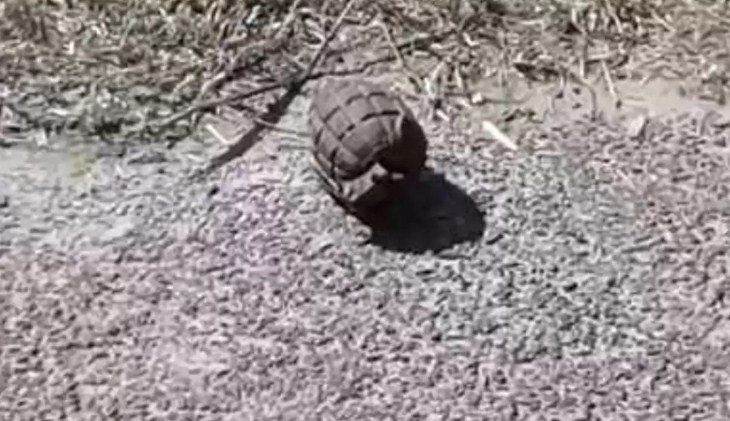 Grenade attack on Pulwama police post, 3 cops injured