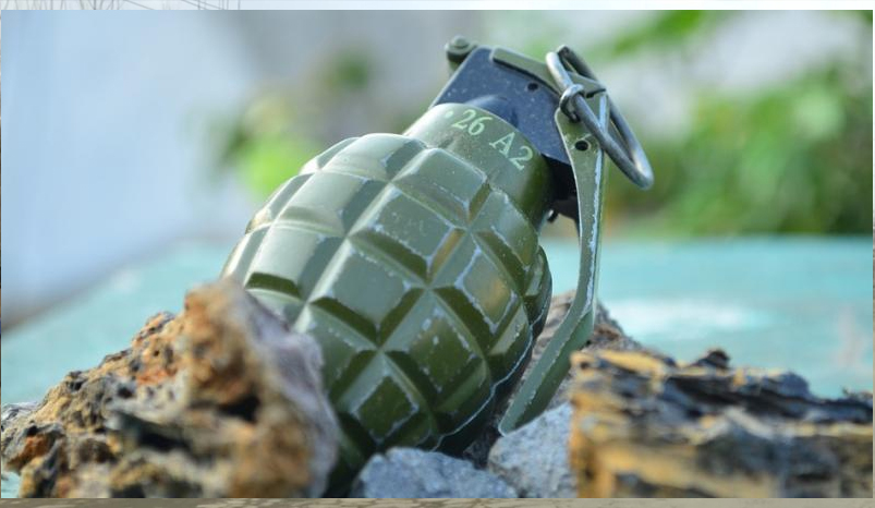 Two pistols, grenades recovered in J&K's Mendhar