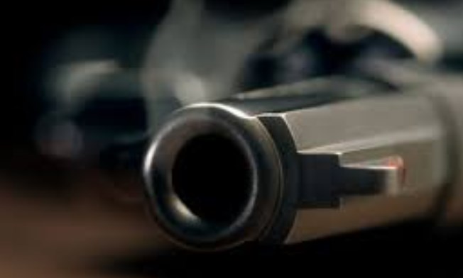 Village Defence Guard shoots himself dead in J-K’s Udhampur