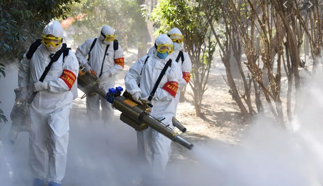 Coronavirus cases in UAE increases to 11