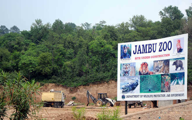 Prestigious tourist destination Jambo Zoo to be completed by Dec. 2020