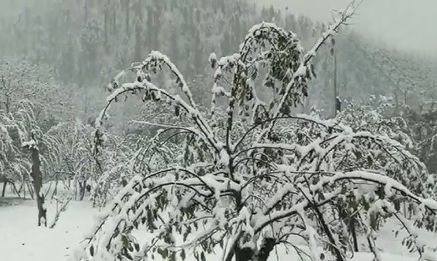  Fresh snowfall in higher reaches of Kashmir