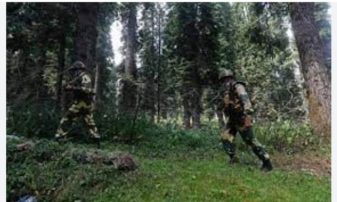 Army Opens Fire After Suspicious Movement On LoC In J&K’s Poonch