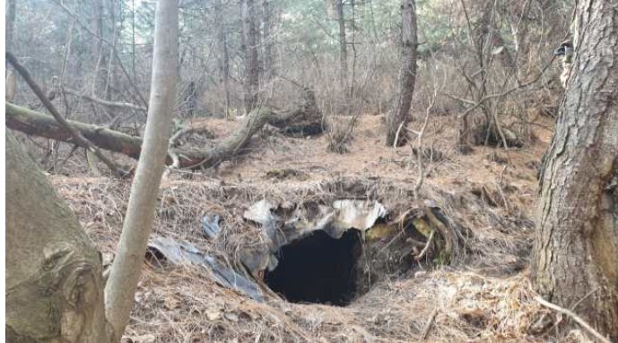Militant hideout busted in south Kashmir forest