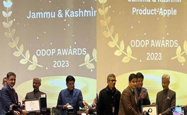 Jammu and Kashmir clinches gold at National ODOP awards 2023