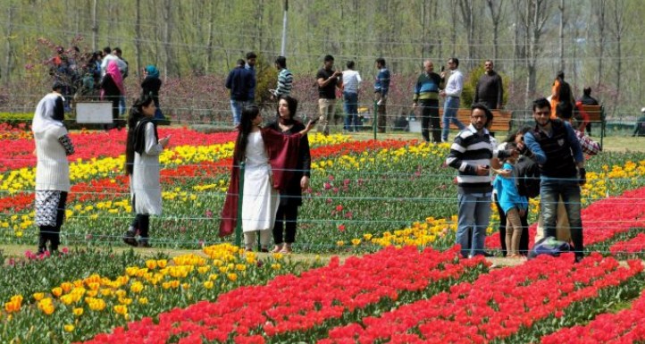 Govt mulling establishing Theme Gardens in JK: Com Secy Floriculture