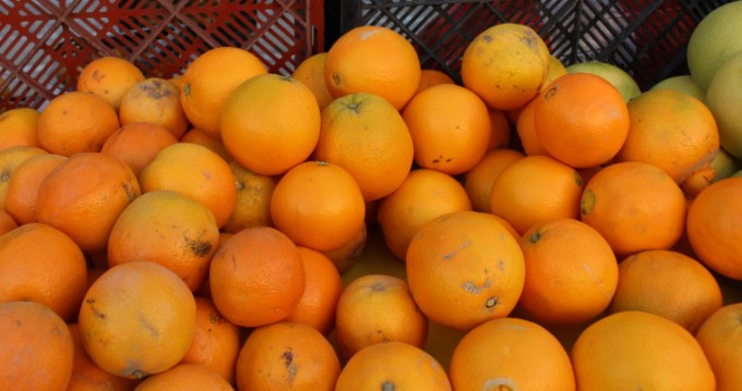 Officer Suspended for Lemon Scam in Punjab Prison