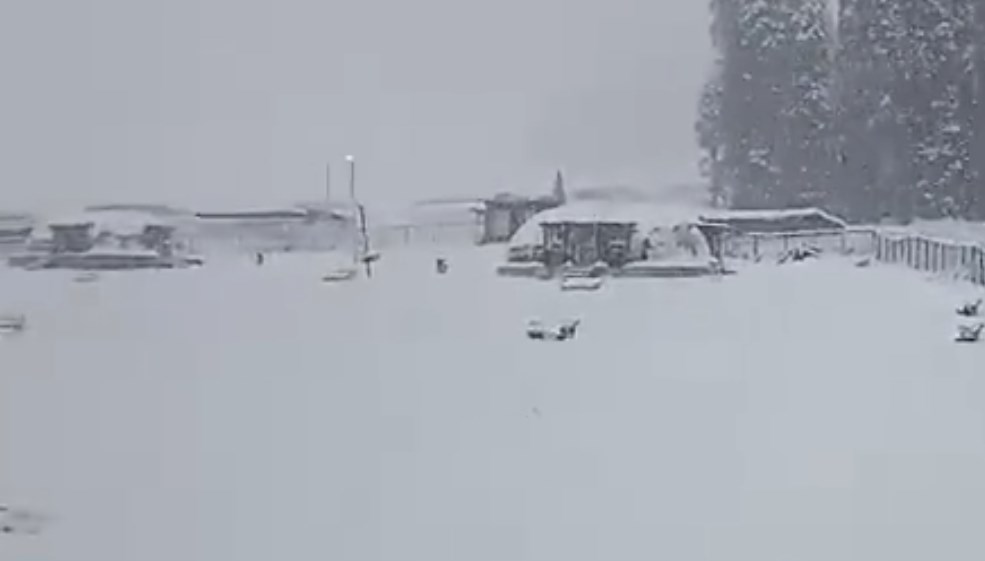 Fresh snowfall in mountains as rain lashes J&K plains