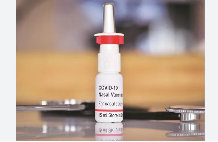 Bharat Biotech's nasal vaccine for Covid to cost Rs 800 for private hospitals, Rs 325 for governments
